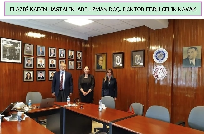 Do dr ebru elik kavak kadn hastalklar uzman doktor